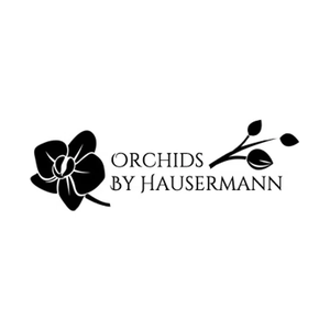 orchidsbyhausermann brand logo for orchidsbyhausermann.com