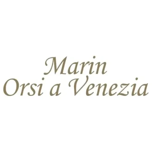 orsiavenezia brand logo for orsiavenezia.com