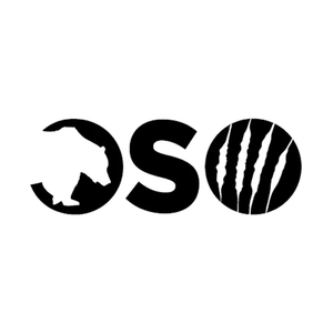osopadel.com/en_us/ brand logo for osopadel.com