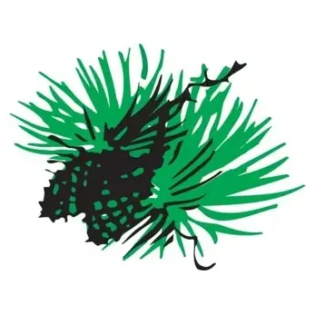 outdoornews brand logo for outdoornews.com