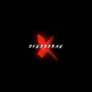 overbornenft brand logo for overbornenft.com
