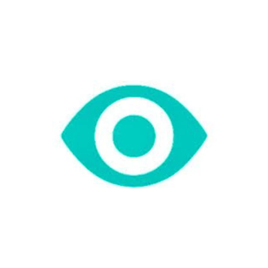 overseeros brand logo for overseeros.com