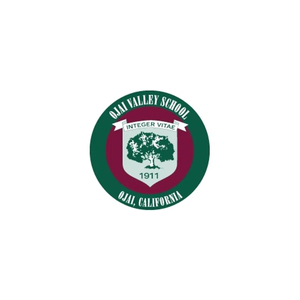 ovs brand logo for ovs.org