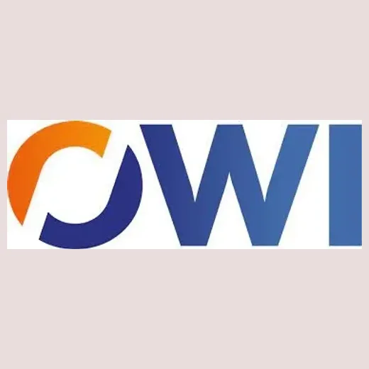 owi brand logo for owi.com