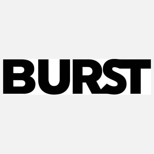 owlburst brand logo for owlburst.com