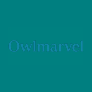owlmarvel brand logo for owlmarvel.com
