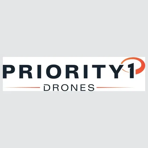 p1drones brand logo for p1drones.com