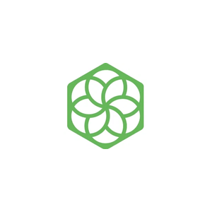 pachama brand logo for pachama.com