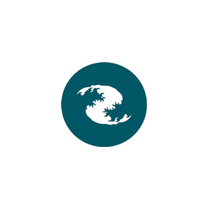 pacific-defi brand logo for pacific-defi.com