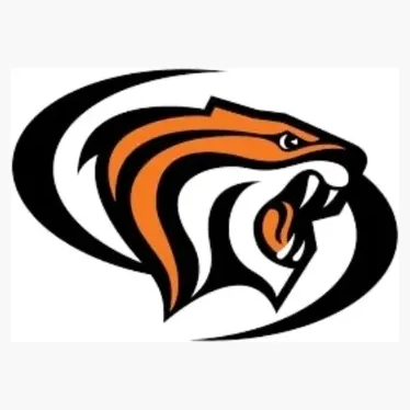 pacifictigers brand logo for pacifictigers.com