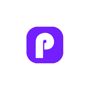 packify brand logo for packify.ai