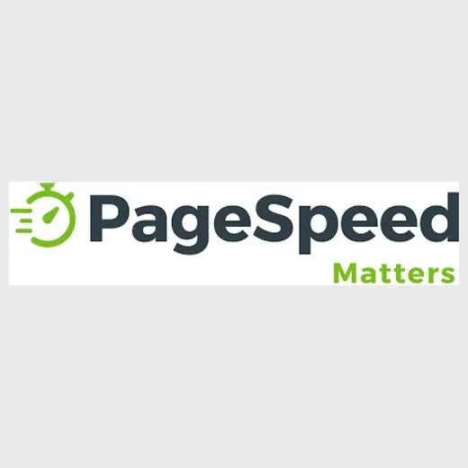 pagespeedmatters brand logo for pagespeedmatters.com