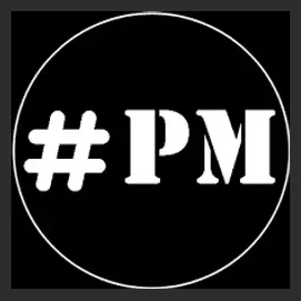 paladinomarketing brand logo for paladinomarketing.com
