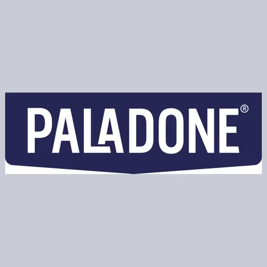 paladone brand logo for paladone.com
