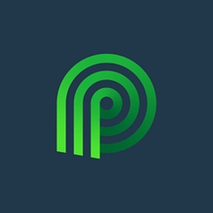 Palmetto brand logo for palmetto.com