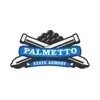 Palmetto State Armory Ads brand logo for ads.palmettostatearmory.com