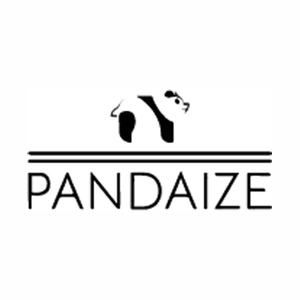 pandaize brand logo for pandaize.com