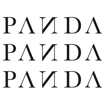 pandasurfboards brand logo for pandasurfboards.com