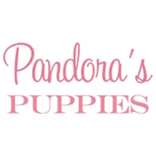 pandoraspuppies brand logo for pandoraspuppies.com