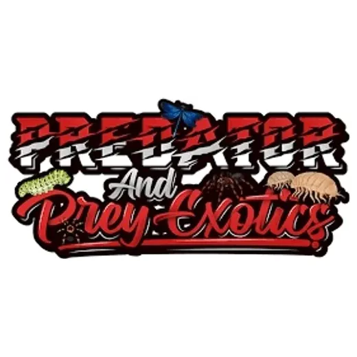 pandpexotics brand logo for pandpexotics.com