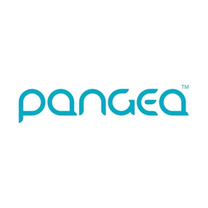 pangeamoneytransfer brand logo for pangeamoneytransfer.com
