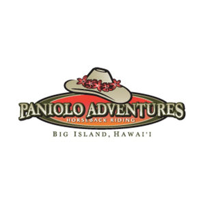 panioloadventures brand logo for panioloadventures.com