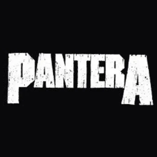 panterastore brand logo for panterastore.com