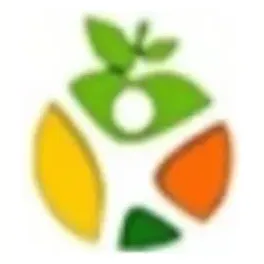 paradise brand logo for paradise.direct