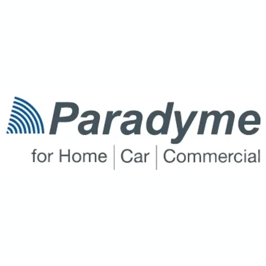 paradyme brand logo for paradyme.com