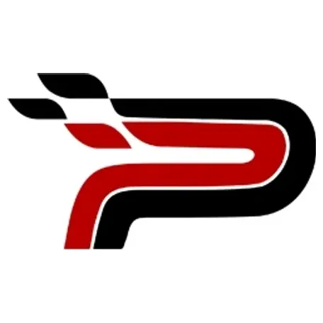 paragonperf brand logo for paragonperf.com