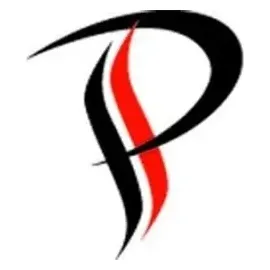 paragonsns brand logo for paragonsns.com