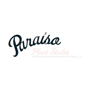 paraisoplant brand logo for paraisoplant.studio