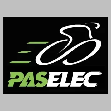 paselec-ebike brand logo for paselec-ebike.com