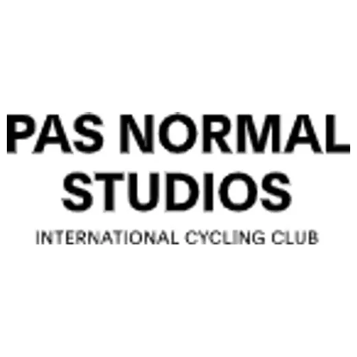 pasnormalstudios brand logo for pasnormalstudios.com