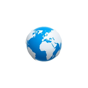 passportservicesla brand logo for passportservicesla.com