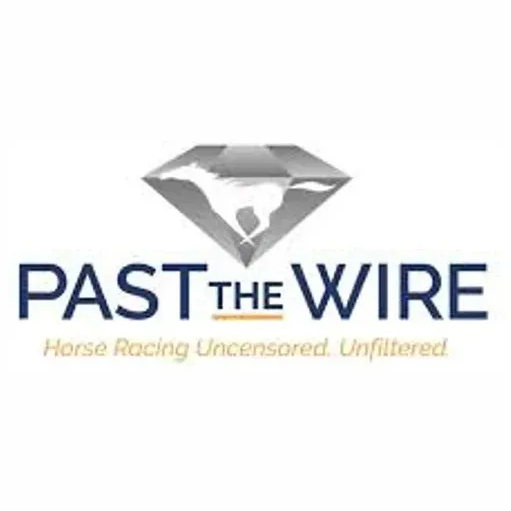 pastthewire brand logo for pastthewire.com