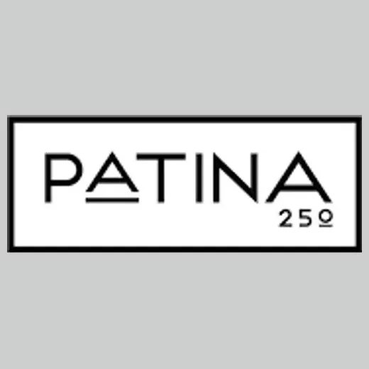 patinagroup brand logo for patinagroup.com