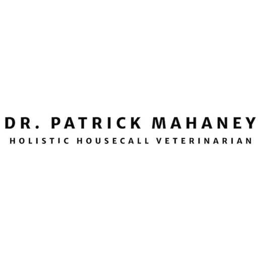 patrickmahaney brand logo for patrickmahaney.com
