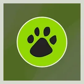 pawsinthecity brand logo for pawsinthecity.org