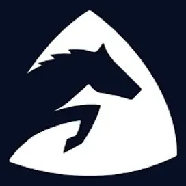 paycer brand logo for paycer.io