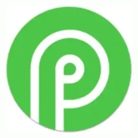 payid19 brand logo for payid19.com