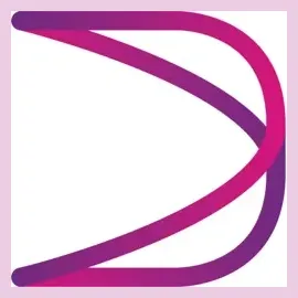 paymerang brand logo for paymerang.com