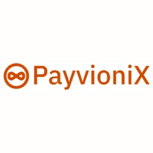 payvionix brand logo for payvionix.com