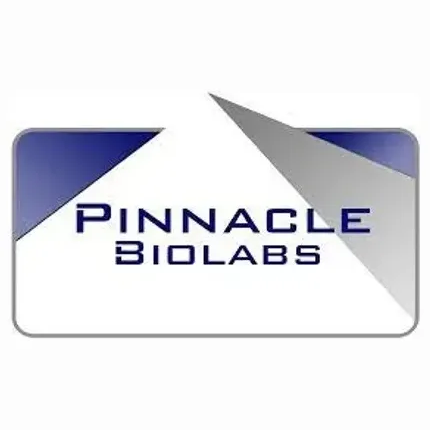 pblabs brand logo for pblabs.com