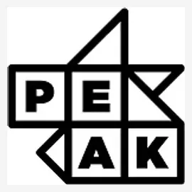 peak brand logo for peak.ai