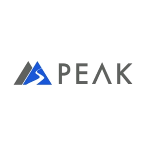 peaksuspension brand logo for peaksuspension.com