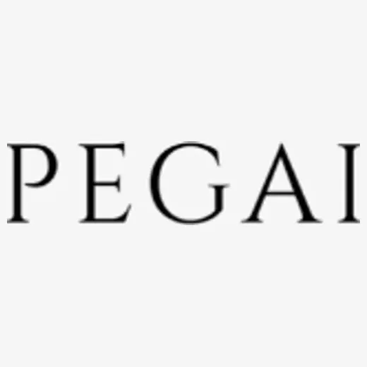 pegai brand logo for pegai.com