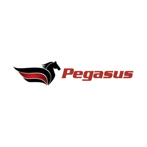 pegasus-si brand logo for pegasus-si.com