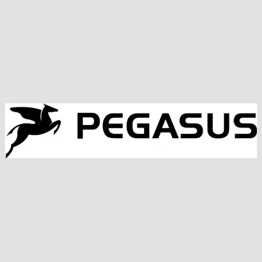 pegasusbikes brand logo for pegasusbikes.us