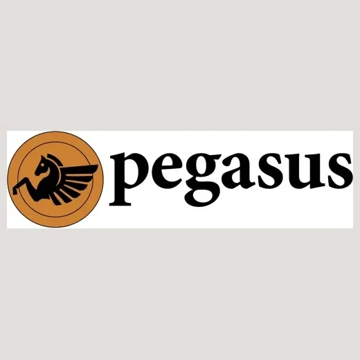 pegasusoutdoors brand logo for pegasusoutdoors.com